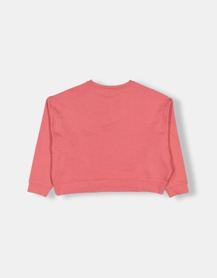 Bisiklet Yaka Düz Sweatshirt - 16